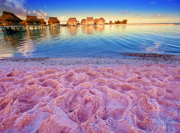 Most Amazing Beaches - pink sands beach