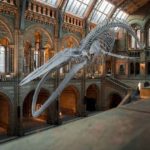 most magnificent museums