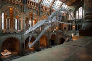 most magnificent museums